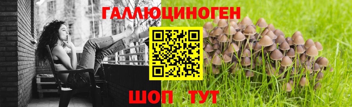 Псилоцибиновые грибы MAGIC MUSHROOMS  Вход с VPN  Лениногорск  Псилоцибиновые грибы Psilocybe 