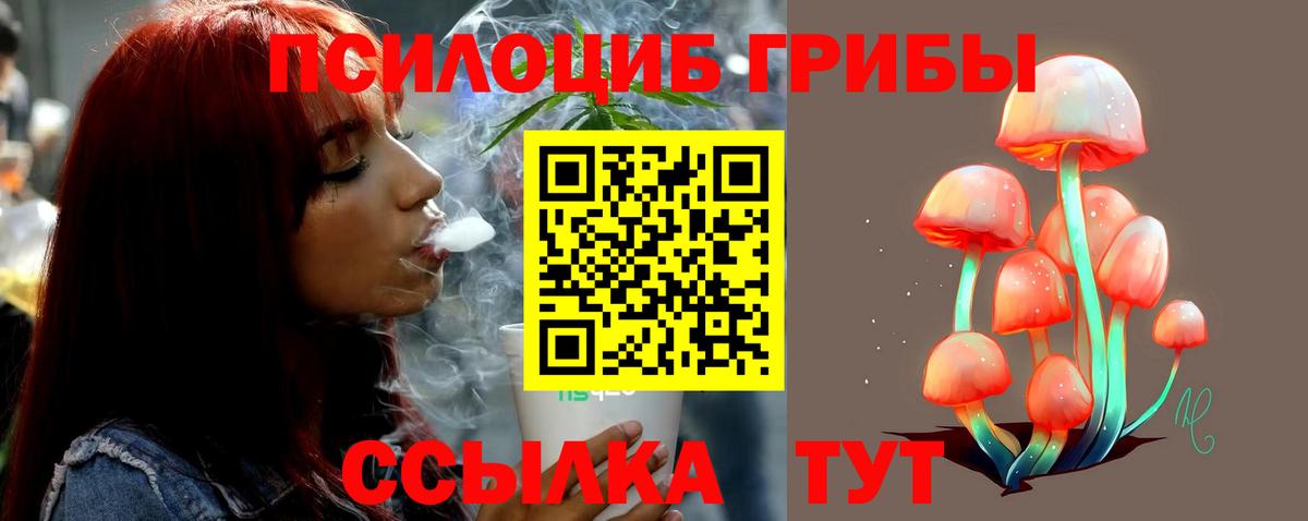 Псилоцибиновые грибы Psilocybine cubensis Лениногорск